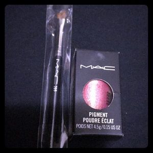 Brush& pigment bundle